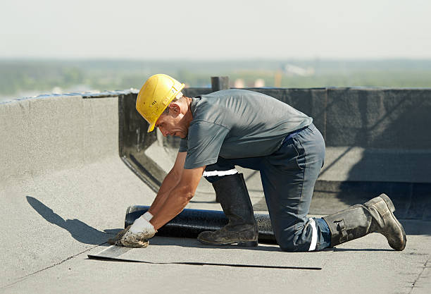 Best Insulation Installation Services in Laurie, MO