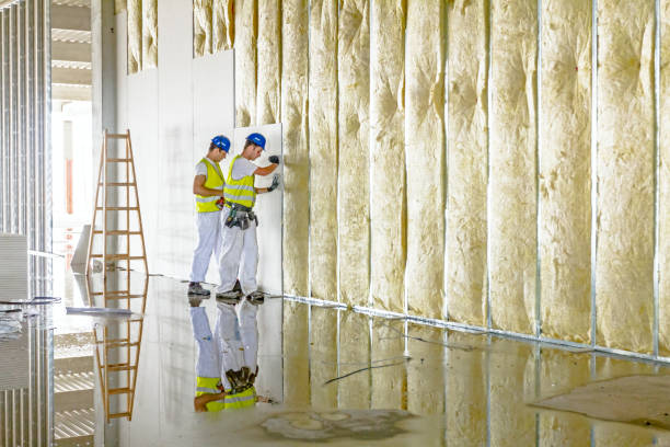 Best Insulation Maintenance and Repair in Laurie, MO